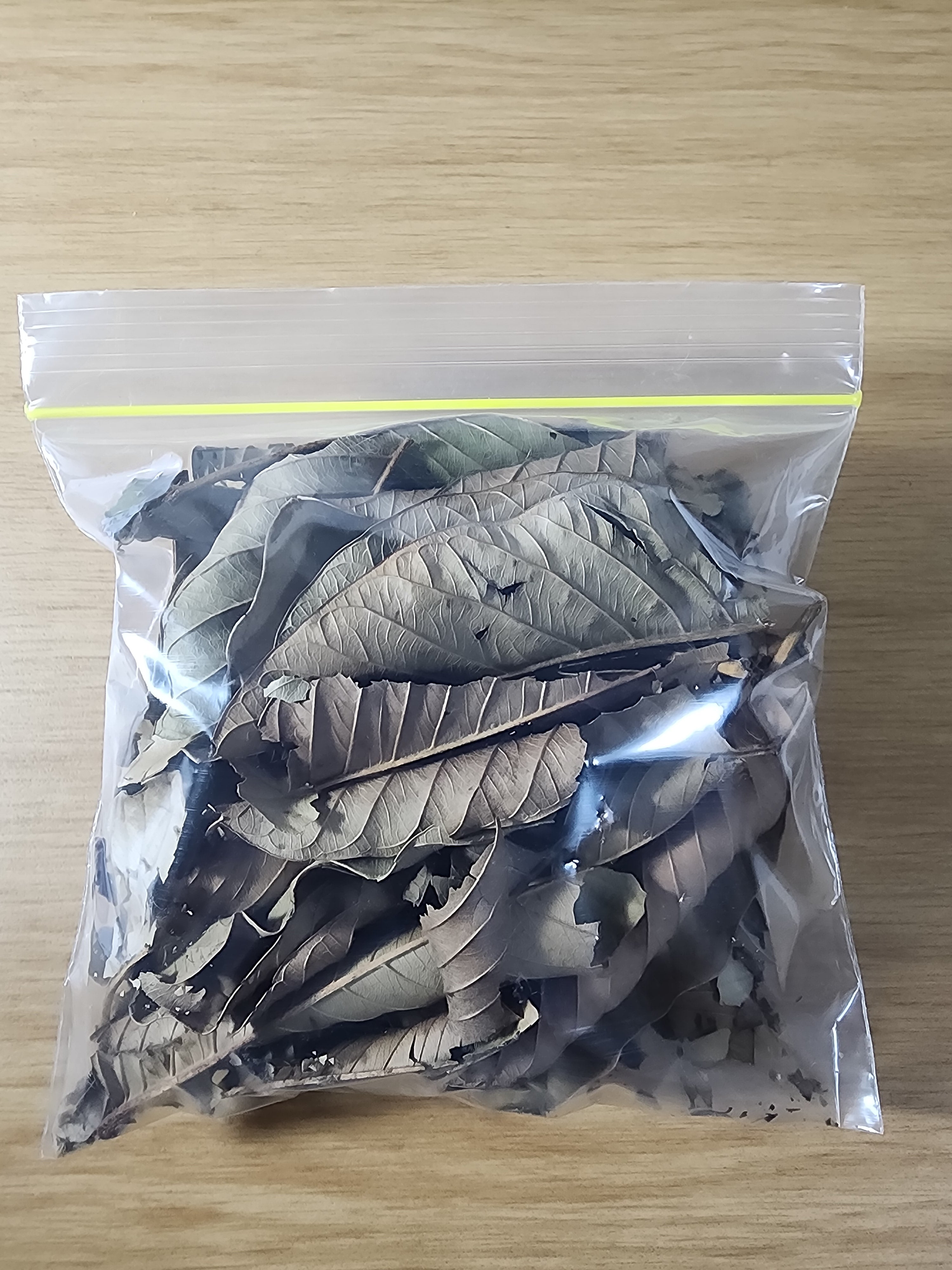 Guava Leaves (500ml/20g)