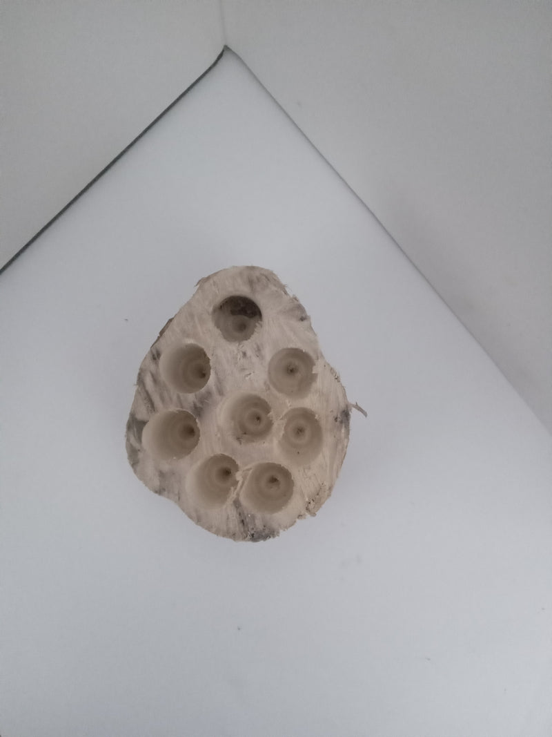 Pod-Nursery