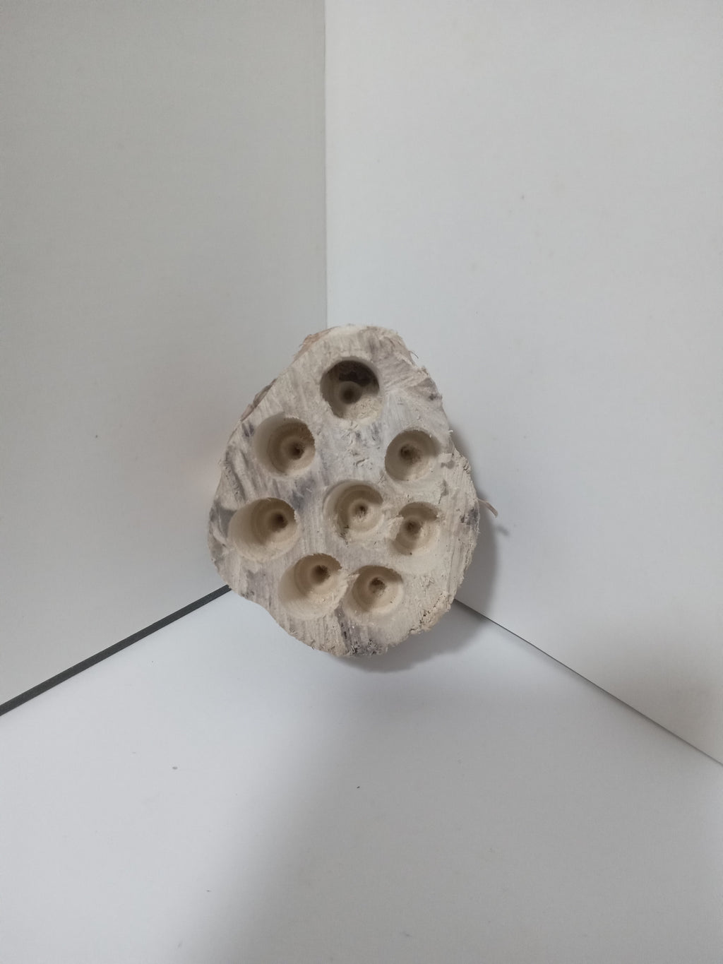 Pod-Nursery
