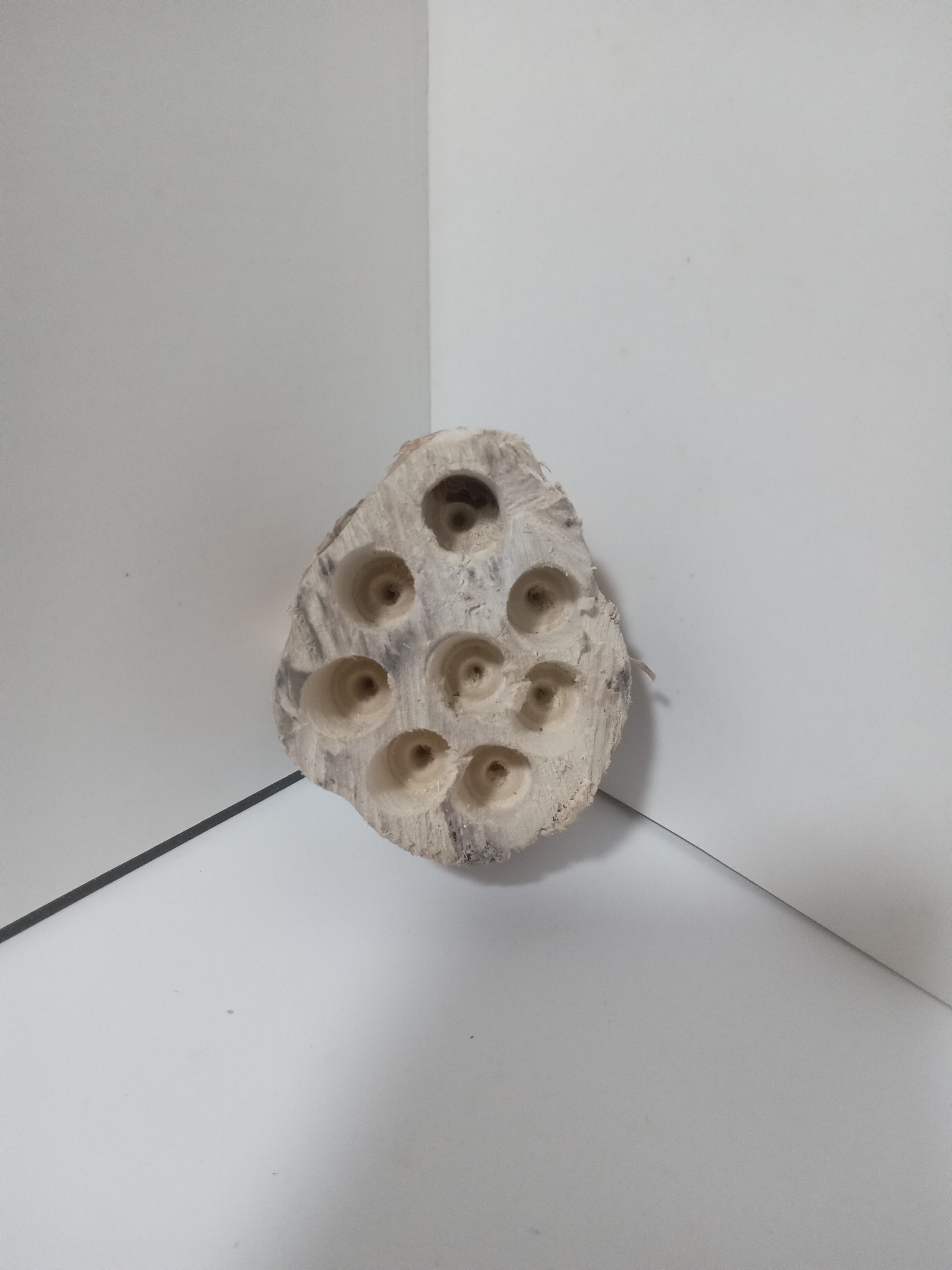 Pod-Nursery